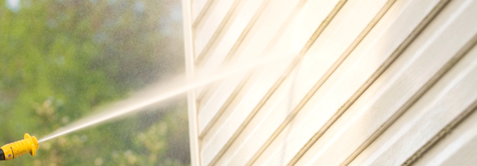 home image background